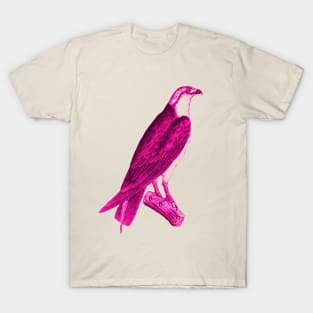 hawk,bald eagle,falcon,golden eagle,birdie,bird,bird of prey,raptor,aquila,vulture,heron,golf game,golf,eaglet,condor,haliaeetus,harpy eagle,beak,eagle putt,bird of jove,accipitridae T-Shirt